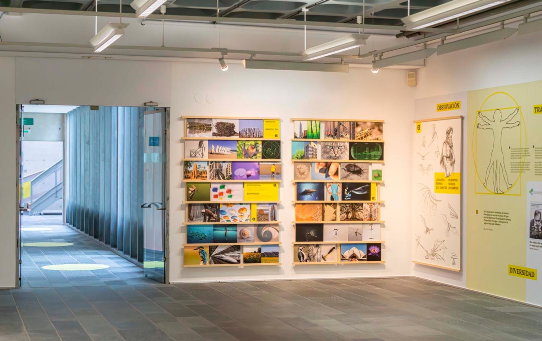 Sala Nondik - zona de exposiciones